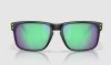 Oakley Holbrook Mt Blk w/ Prizm Road Jade