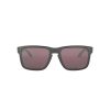 OAKLEY HOLBROOK FRAME-STEEL LENS-PRIZM DAILY POLARIZED