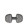 CROCS DUMBBELL JIBBITZ MC