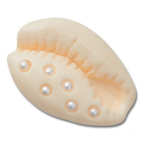 Crocs Fehér kagyló Jibbitz MC