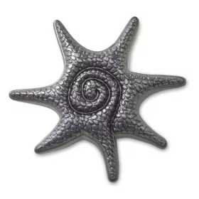 Crocs Fém csillag Jibbitz