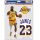 WinCraft - NBA Multi Use 3 Fan Pack Decal LeBron James Los Angeles Lakers MC