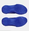 Under Armour Curry D. FOX 1 KW Team Royal / White 425