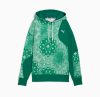 Puma Shooting Stars Hoodie Wild Green