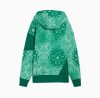 Puma Shooting Stars Hoodie Wild Green