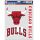 WinCraft - NBA Multi Use 3 Fan Pack Decal Chicago Bulls MC