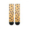 STANCE TABOO GOLD