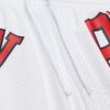 Mitchell & Ness NBA Maxxed Out Fashion Shorts Chicago Bulls Dennis Rodman White