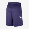 Jordan Dri-FIT NBA Swingman Charlotte Hornets Statement Edition Shorts New Orchid/Rapid Teal M