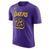 Jordan NBA LeBron James Los Angeles Lakers Statement Edition Tee Field Purple S