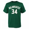 Nike NBA Milwaukee Bucks Antetokounmpo Giannis Flat Replica N&N SS Tee Green M