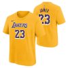NIKE NBA LOS ANGELES LAKERS LEBRON JAMES BOYS ICON N&N TEE AMARILLO L