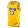 Nike NBA Los Angeles Lakers LeBron James Icon Edition 23 Jersey Yellow L