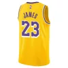 Nike NBA Los Angeles Lakers LeBron James Icon Edition 23 Jersey Yellow L
