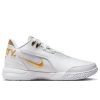 Nike LeBron NXXT Gen AMPD Equity White/Gold-Black