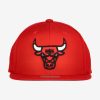 MITCHELL & NESS CHICAGO BULLS TEAM GROUND 2.0 SNAPBACK Red