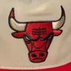 Mitchell & Ness NBA Chicago Bulls Retro Roots Deadstock Cream
