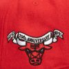 Mitchell & Ness NBA Kicking Wool Pro Strapback Chicago Bulls Red ONE