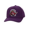 Mitchell & Ness NBA Kicking Wool Pro Strapback Hwc Toronto Raptors Purple