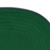 Mitchell & Ness NBA Big Time Snapback Hwc Toronto Raptors Purple