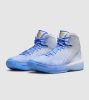Nike Kobe 3 Protro Christmas Royal Pulse/Chrome-White