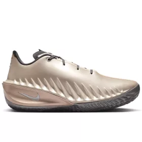 Nike GT Cut 4 Rob Dillingham PE Metallic Silver/Iron Grey