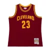 Mitchell & Ness NBA Cleveland Cavaliers 2015 Lebron James Road Swingman Jersey Cardinal L