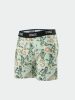 Stance Feeling Pickled Boxer Brief OFW S
