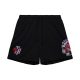 MITCHELL & NESS NBA POSTGAME FLEECE SHORTS VINTAGE LOGO TORONTO RAPTORS BLACK