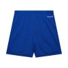 Mitchell & Ness NBA Gameday Mesh 7In Shorts Vintage Logo Golden State Warriors Royal