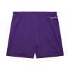 Mitchell & Ness NBA Gameday Mesh 7In Shorts Vintage Logo Los Angeles Lakers Purple