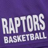 Mitchell & Ness NBA Gameday Mesh 7In Shorts Vintage Logo Toronto Raptors Purple