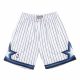 Mitchell & Ness Orlando Magic 93-94 Swingman Shorts White XXL