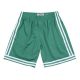 Mitchell & Ness Boston Celtics Swingman Shorts Kelly Green
