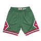 MITCHELL & NESS NBA GREEN WEEK SWINGMAN SHORTS BULL 08-09 DARK GREEN L