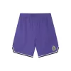 361° Light Up Basketball Shorts Purple
