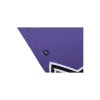 361° Light Up Basketball Shorts Purple