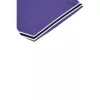 361° Light Up Basketball Shorts Purple