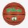 WILSON NBA TEAM COMPOSITE BOSTON CELTICS BASKETBALL 7 BROWN