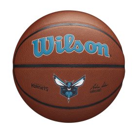   WILSON NBA TEAM COMPOSITE CHARLOTTE HORNETS BASKETBALL 7 BROWN