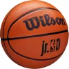 Wilson JR NBA WNBA DRV BSKT Brown