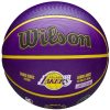 WILSON NBA PLAYER ICON OUTDOOR BSKT LEBRON 7